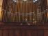 Organista Mario Collegno