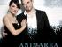 Animarea
