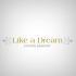 Like a Dream - Wedding Planner
