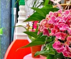 Fiori per il matrimonio a Torino - Giusy Fiori