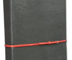 iDentici - Copertina Vega