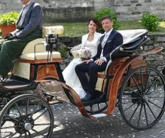 Auto Oggi Sposi - Calesse con cavalli