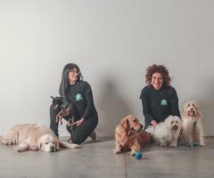 Canaglie da Matrimonio - Le tue Wedding Dog Sisters