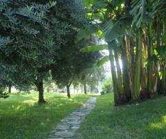 Giardino del casale