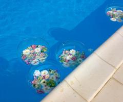 Fiori...galleggianti!