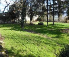 Giardino davanti casa - Villa Agliano