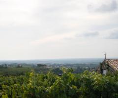 The V. Event Design - A contatto con la natura