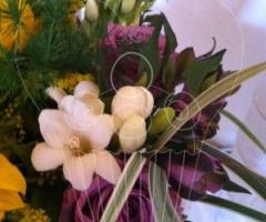 Wedding planner a Salerno - Eventi di Sole