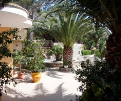 Il giardino verdeggiante