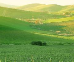 Panorama dal maneggio - Agriturismo Ridocco