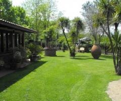 Ricevimento di matrimonio in giardino