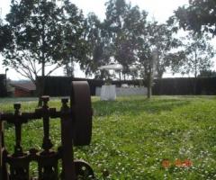 Giardino della location di matrimonio