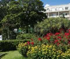 Giardino verdeggiante e pieno di fiori colorati