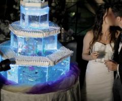 Wedding Crystal Torta Acquario Magic Reef
