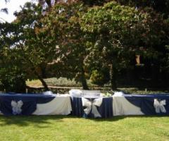 Ricevimento di nozze in giardino