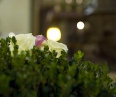 Matì Eventi - Wedding planner a Bologna