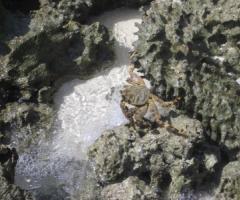 Silvana Travel - Agenzia di viaggi a Milano