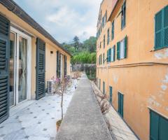 Terrazza Bonsai - Terrazza