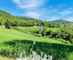 Tenuta San Lorenzo 7