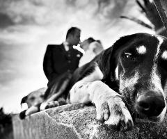 Matrimonio alle Isole Eolie