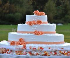 tutte realizzate per voi