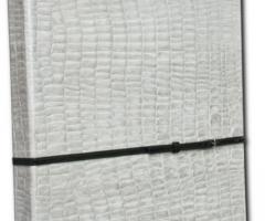 iDentici - Copertina Rigel