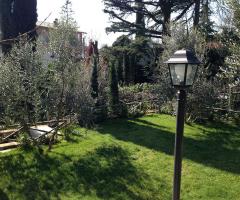 I Giardini di Villa Maria - Balza degli olivi