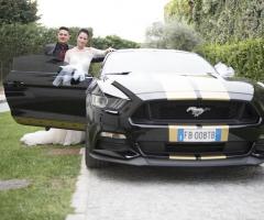 Dany auto Albani - Mustang coupé v6 2015