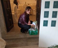 alessia, butterfly weddings and more