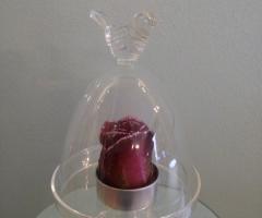 Alzata con coperchio in vetro