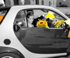 Fuga - Fotovideoluppi