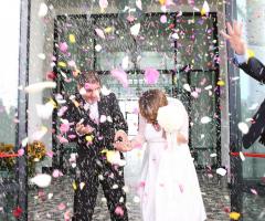 Luciano Galeotti - Il lancio del riso