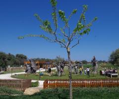 Hotel Casale Milocca - il baby garden