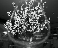 Baldino Ristorante - Dettaglio