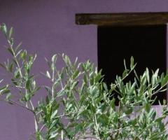 Il Molino del Groppo per ricevimenti di matrimonio