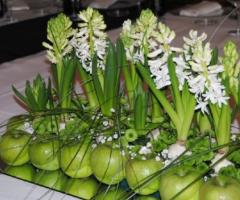 Composizione realizzata con piante e frutta