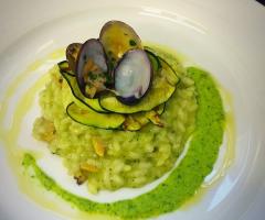 Primo - Bon Ton di Pietrini Srl