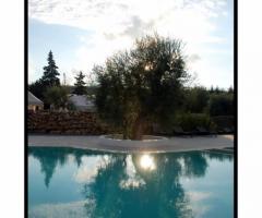 Hotel Terranobile - Ricevimento di matrimonio a bordo piscina