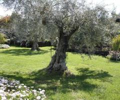 Rigoletto Ricevimenti d'Autore - Catering per matrimoni a Catania