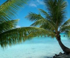 Luna di miele in Polinesia