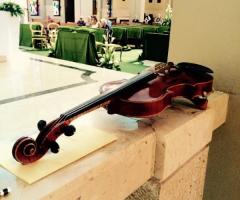 Musica di violino per il matrimonio