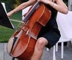 MicroJazz Acoustic Duo - Violoncello per matrimoni a Maserà di Padova