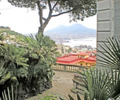 Villa Hertha - Giardino della location