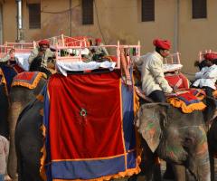 Orville Viaggi - Viaggio di nozze India