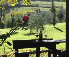 Esterno - Tre Querce