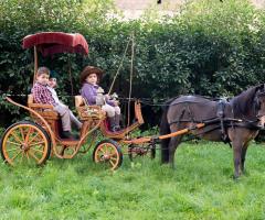 Noleggio carrozze a Salerno