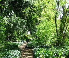 Il piccolo bosco che volge cerso la Villa Casalini