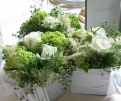 Cubetti di rose bianche by flò fiori