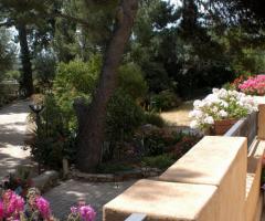 Location per matrimoni immersa nella natura