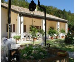 Giardino della location di matrimonio